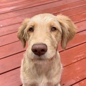 Meet your Posher, Kenya